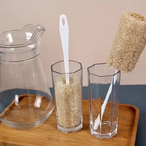 10 spørgsmål for at lære mere om konjac svamp? (med svar)